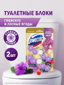 ДОМЕСТОС Туалетный арома-блок для очищения унитаза Сказочный Аромат 2шт.х50г