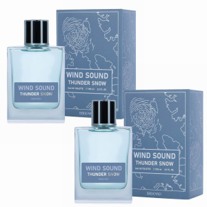 Brocard Т.в. Wind Sound Thunder Snow Снежная Гроза мужcкая 100мл. 2шт.
