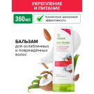 Бальзам для волос SYNERGETIC Укрепление и питание HAIR THERAPY Аргана и масло кокоса 360 мл