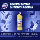 Domestos Универсальный чистящий гель Ультра блеск 1л