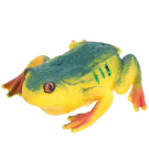 Фигурка Abtoys Юный натуралист Лягушки Лягушка ((зелено-желтая с красными лапками), термопластичная резина