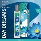 Brocard Т.в. Day Dreams Blue Lotos Голубой лотос 55мл