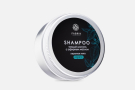 Шампунь для волос Fabrik Cosmetology Твердый Перечная мята ALU с эфирным маслом 55 г