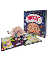 Malamalama Интерактивная энциклопедия. Мозг Malamalama Интерактивная энциклопедия. Мозг