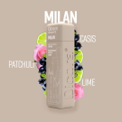 Туалетная вода Dicora Urban Fit Milan женская 100ml