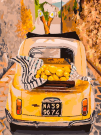 Набор для творчества Белоснежка Картина по номерам Машина с лимонами30х40
