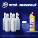 Domestos Универсальный чистящий гель Ультра блеск 1л