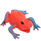 Фигурка Abtoys Юный натуралист Лягушки Лягушка (красная с синими лапками), термопластичная резина