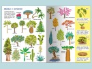 Книга Омега Иллюстрированная энциклопедия для детей