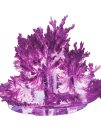 Набор Лучистые кристаллы Фиолетовый кристалл