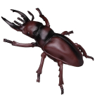 Фигурка гигантская Junfa насекомого "Жук-геркулес", на блистере