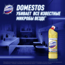 Domestos Универсальный чистящий гель Ультра блеск 1л