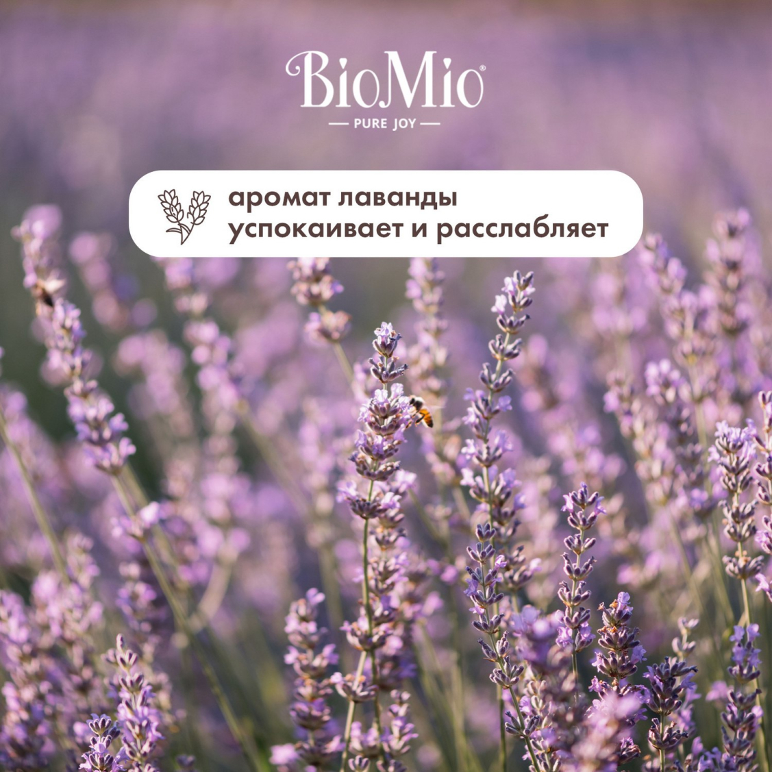 Гель для душа BIO MIO BIO SHOWER GEL Лаванда, дозатор 650мл | купить, цена,  отзывы